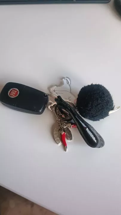 Ritrovamento di un mazzo di chiavi in Corso XVIII Agosto